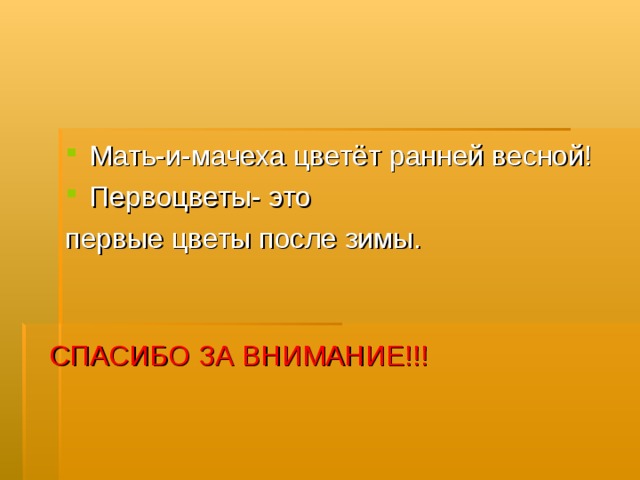 СПАСИБО ЗА ВНИМАНИЕ!!! Мать-и-мачеха цветёт ранней весной! Первоцветы- это первые цветы после зимы.