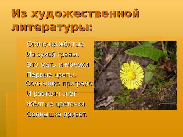 Из художественной литературы:  Огонечки жёлтые  Из сухой травы.  Это мать-и-мачехи  Первые цветы. Солнышко пригрело  И растаял снег.  Жёлтые цветочки  Солнышка привет.