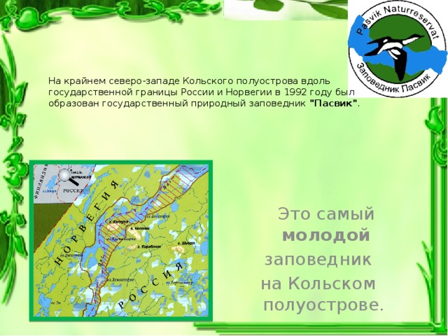 На крайнем северо-западе Кольского полуострова вдоль государственной границы России и Норвегии в 1992 году был образован государственный природный заповедник 