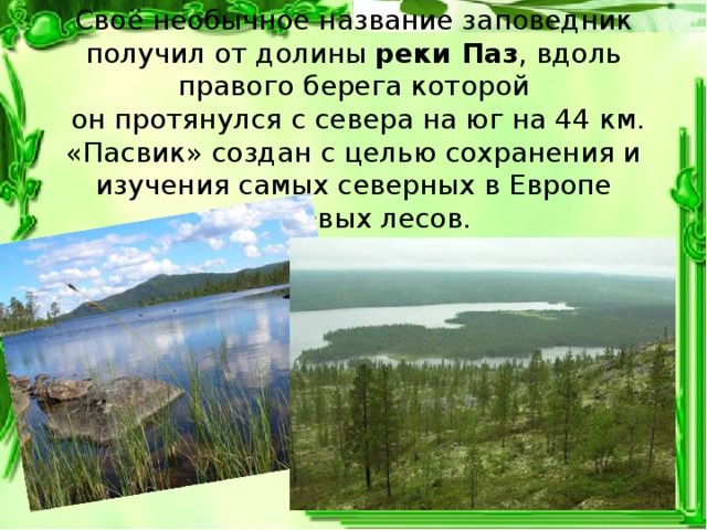 Своё необычное название заповедник получил от долины реки Паз , вдоль правого берега которой  он протянулся с севера на юг на 44 км.  «Пасвик» создан с целью сохранения и изучения самых северных в Европе сосновых лесов.