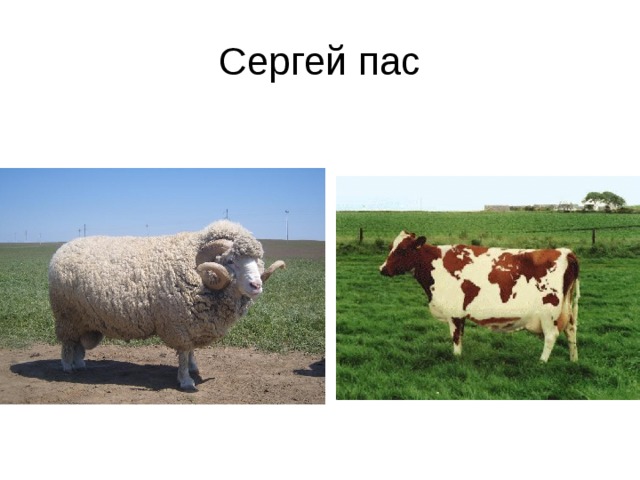 Сергей пас