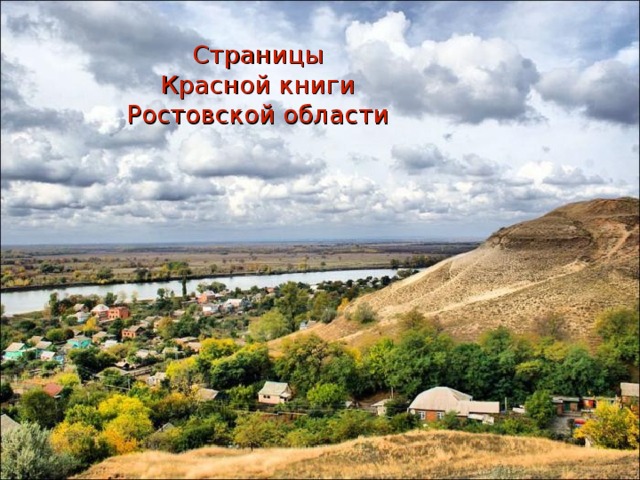 Страницы  Красной книги Ростовской области