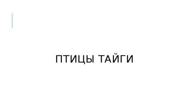 Птицы тайги