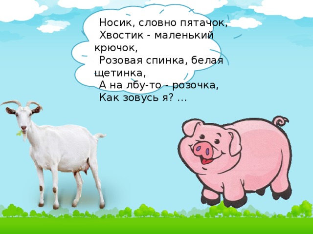 Носик, словно пятачок, Хвостик - маленький крючок, Розовая спинка, белая щетинка, А на лбу-то - розочка, Как зовусь я? ...