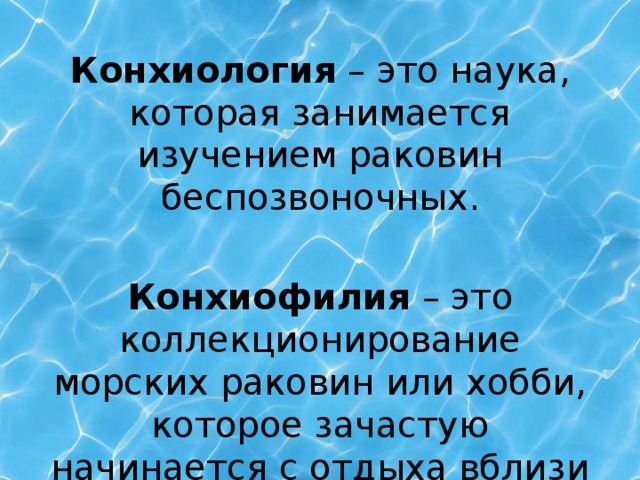 Конхиология – это наука, которая занимается изучением раковин беспозвоночных. Конхиофилия – это коллекционирование морских раковин или хобби, которое зачастую начинается с отдыха вблизи водоёмов.