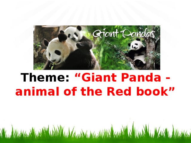 Theme: “Giant Panda - animal of the Red book”