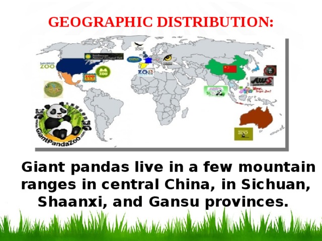 GEOGRAPHIC DISTRIBUTION:    Giant pandas live in a few mountain ranges in central China, in Sichuan, Shaanxi, and Gansu provinces.