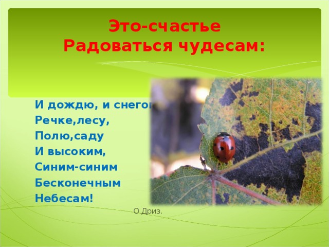 Это-счастье  Радоваться чудесам : И дождю, и снегопаду, Речке,лесу, Полю,саду И высоким, Синим-синим Бесконечным Небесам!    О.Дриз.