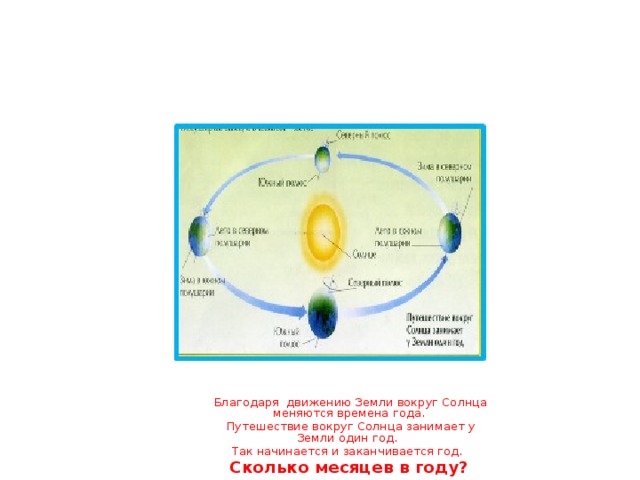 Благодаря движению Земли вокруг Солнца меняются времена года.  Путешествие вокруг Солнца занимает у Земли один год. Так начинается и заканчивается год. Сколько месяцев в году?