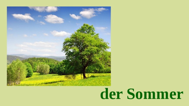 der Sommer