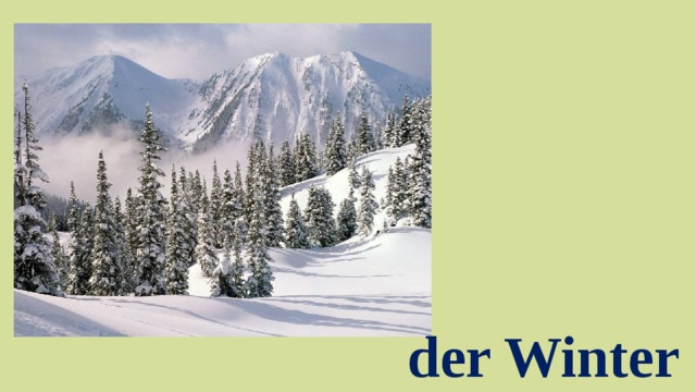 der Winter