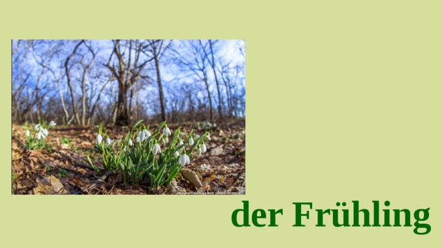 der Frühling