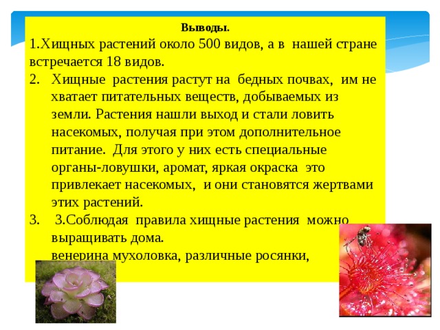 Выводы. 1.Хищных растений около 500 видов, а в нашей стране встречается 18 видов.