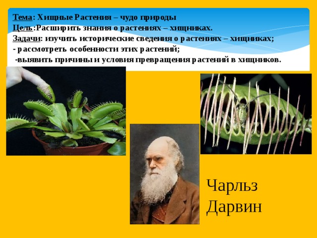 Тема : Хищные Растения – чудо природы Цель :Расширить знания о растениях – хищниках. Задачи : изучить исторические сведения о растениях – хищниках; - рассмотреть особенности этих растений;  -выявить причины и условия превращения растений в хищников.  Чарльз Дарвин