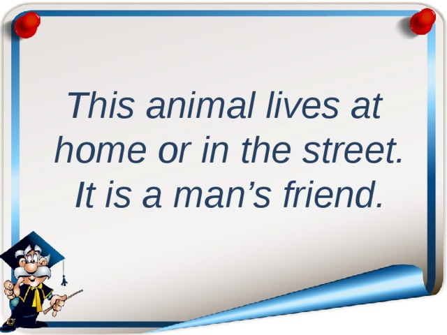 This animal lives at home or in the street. It is a man’s friend.