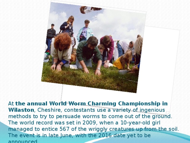 At the annual World Worm Charming Championship in Wilaston , Cheshire, contestants use a variety of ingenious methods to try to persuade worms to come out of the ground. The world record was set in 2009, when a 10-year-old girl managed to entice 567 of the wriggly creatures up from the soil. The event is in late June, with the 2016 date yet to be announced