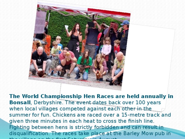 The World Championship Hen Races are held annually in Bonsall , Derbyshire. The event dates back over 100 years when local villages competed against each other in the summer for fun. Chickens are raced over a 15-metre track and given three minutes in each heat to cross the finish line. Fighting between hens is strictly forbidden and can result in disqualification. The races take place at the Barley Mow pub in the village on the first Saturday in August