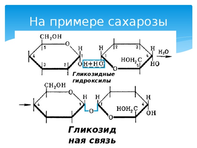 На примере сахарозы Гликозидные гидроксилы Гликозидная связь
