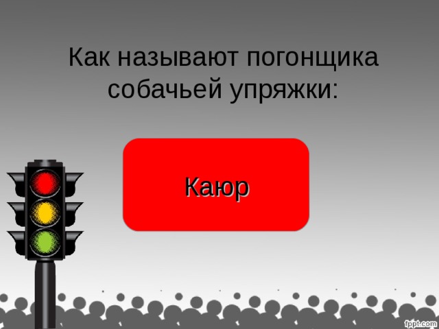 Как называют погонщика собачьей упряжки: Каюр раджа