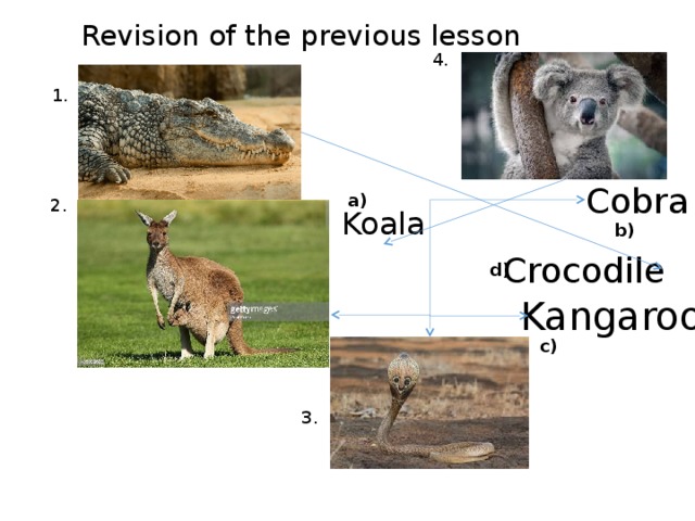 Revision of the previous lesson 4. 1. Cobra a) 2. Koala b) Crocodile d) Kangaroo c) 3.