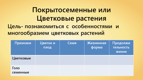 голо и покрытосеменные растения таблица