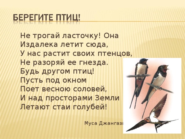 Не трогай ласточку! Она Издалека летит сюда, У нас растит своих птенцов, Не разоряй ее гнезда. Будь другом птиц! Пусть под окном Поет весною соловей, И над просторами Земли Летают стаи голубей!  Муса Джангазиев