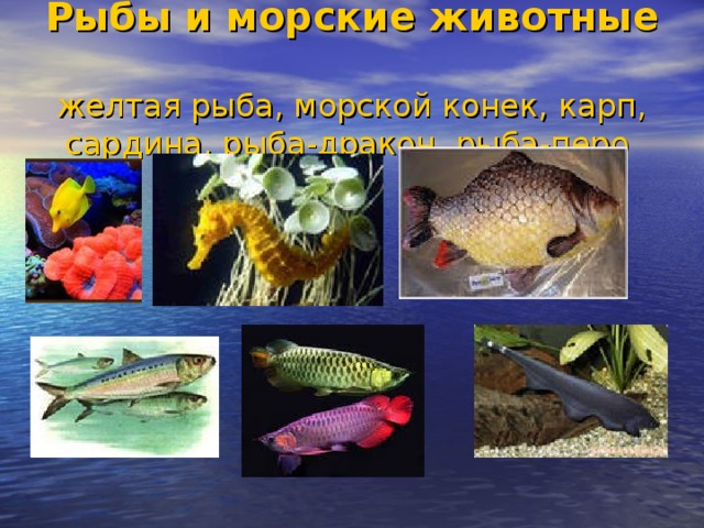 Рыбы и морские животные  желтая рыба, морской конек, карп, сардина, рыба-дракон, рыба-перо