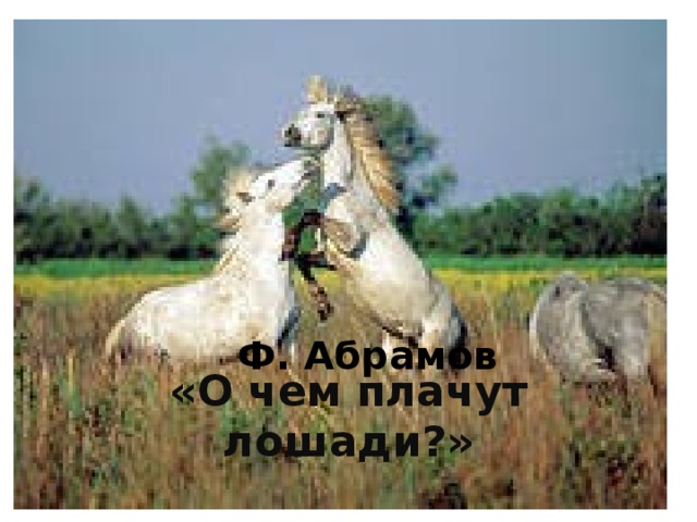 Ф. Абрамов «О чем плачут лошади?»