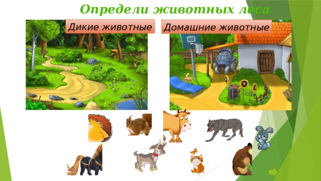 Определи животных леса   Дикие животные Домашние животные