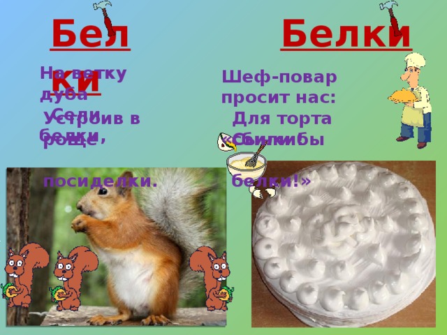 Белки Белки На ветку дуба  Сели белки, Шеф-повар просит нас:  «Сынки!   Для торта сбили бы Устроив в роще  посиделки.  белки!»