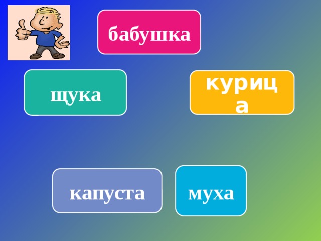 бабушка щука курица муха капуста