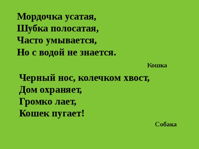 Мордочка усатая,  Шубка полосатая,  Часто умывается,  Но с водой не знается.    Кошка Черный нос, колечком хвост,  Дом охраняет,  Громко лает,  Кошек пугает! Собака