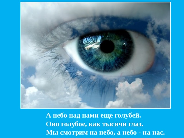 А небо над нами еще голубей.  Оно голубое, как тысячи глаз.  Мы смотрим на небо, а небо - на нас.