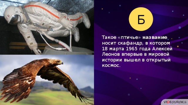 Б Такое «птичье» название   носит скафандр, в котором 18 марта 1965 года Алексей Леонов впервые в мировой истории вышел в открытый космос.