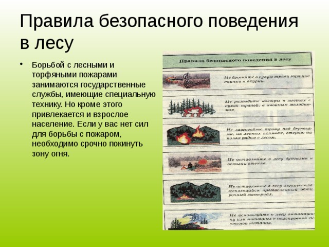 Торфяной пожар При торфяных пожарах горит торф, залегающий под лесными массивами. Скорость распространения очень низкая, но тушение требует очень больших усилий. Торф может самовозгораться и гореть без доступа воздуха. Признаком подземного пожара служит горячая земля и дым из почвы.