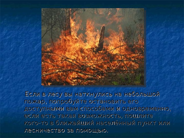 Если в лесу вы наткнулись на небольшой пожар, попробуйте остановить его доступными вам способами и одновременно, если есть такая возможность, пошлите кого-то в ближайший населённый пункт или лесничество за помощью.