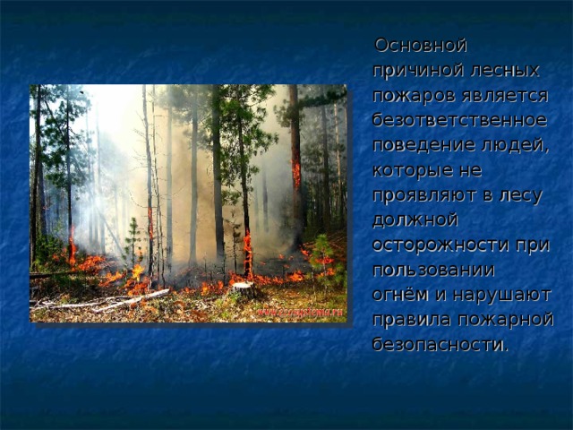 Основной причиной лесных пожаров является безответственное поведение людей, которые не проявляют в лесу должной осторожности при пользовании огнём и нарушают правила пожарной безопасности.