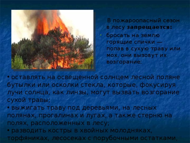 В пожароопасный сезон в лесу запрещается: