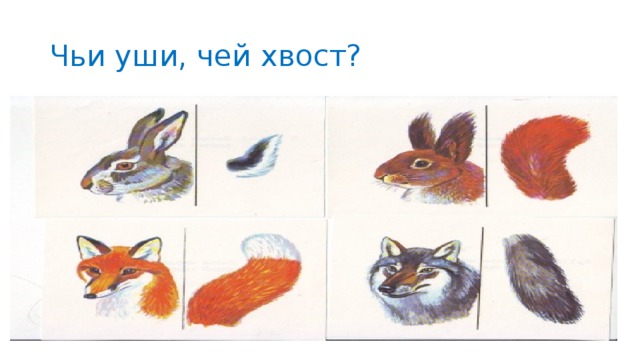 Чьи уши, чей хвост?