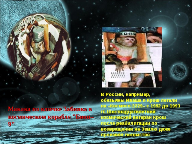 В России, например, обезьяны   Иваша   и   Крош   летали на « Космосе-2229 » с 1992 до 1993 гг. Шестнадцатилетний космический ветеран Крош после реабилитации по возвращении на Землю даже произвёл потомство . Макака по кличке Забияка в космическом корабле 