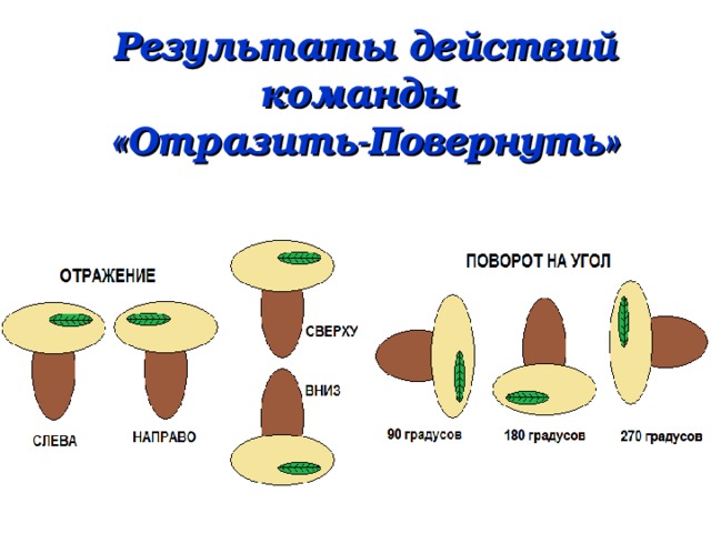 Результаты действий команды  «Отразить-Повернуть»