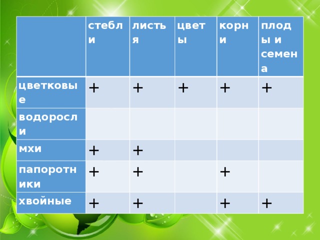   стебли цветковые водоросли листья + цветы + мхи   папоротники +   + корни хвойные   + + + плоды и семена     + + +   +     +     +   +