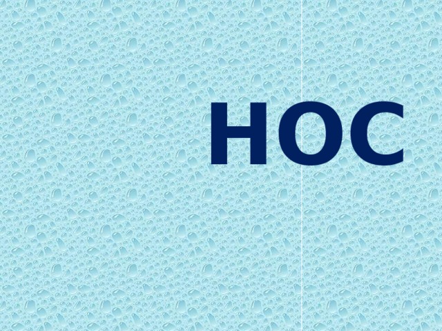 НОС