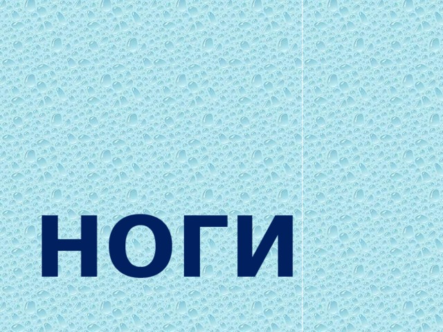 НОГИ