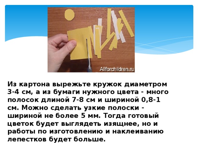 Из картона вырежьте кружок диаметром 3-4 см, а из бумаги нужного цвета - много полосок длиной 7-8 см и шириной 0,8-1 см. Можно сделать узкие полоски - шириной не более 5 мм. Тогда готовый цветок будет выглядеть изящнее, но и работы по изготовлению и наклеиванию лепестков будет больше.