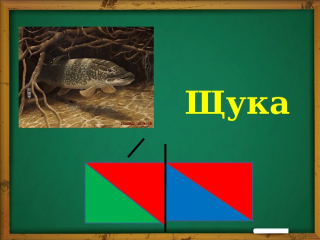 Щука