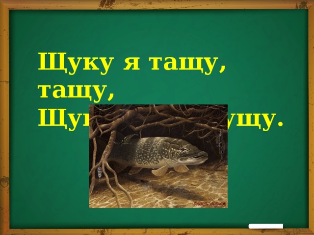 Щуку я тащу, тащу,  Щуку я не упущу.