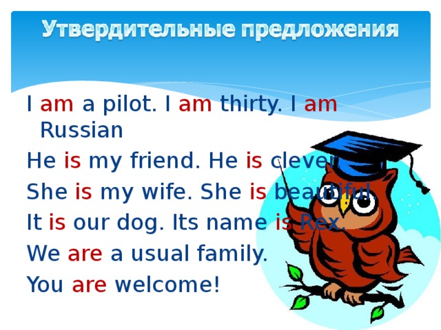 I am a pilot. I am thirty. I am Russian He is my friend. He is clever. She is my wife. She is beautiful. It is our dog. Its name is Rex. We are a usual family. You are welcome!