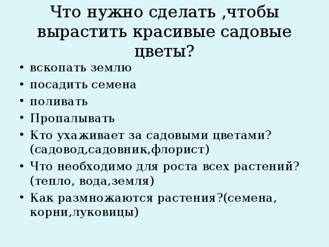 Что нужно сделать ,чтобы вырастить красивые садовые цветы?