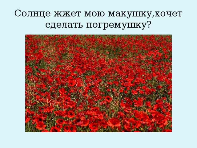 Солнце жжет мою макушку,хочет сделать погремушку?